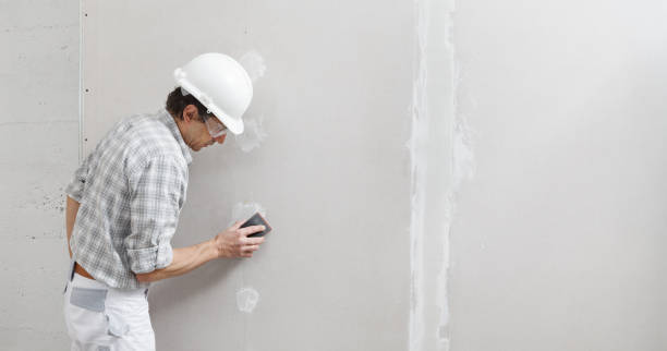 Trusted Oceanport, NJ Mold Removal Experts