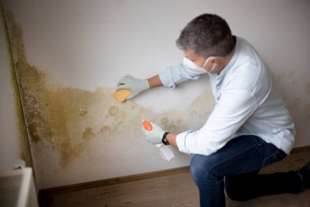 Best Crawl Space Mold Remediation  in Oceanport, NJ