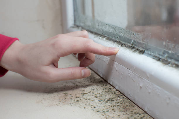 Best Forensic Mold Investigation  in Oceanport, NJ