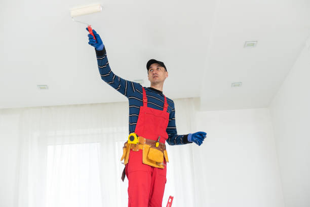 Best Basement Mold Removal  in Oceanport, NJ