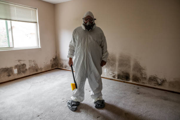 Best Emergency Mold Remediation  in Oceanport, NJ