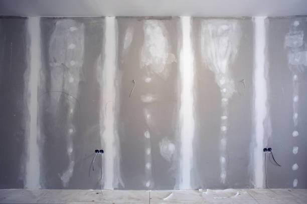 Best Attic Mold Removal  in Oceanport, NJ